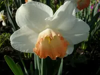 2010  Berlin 04 521.webp