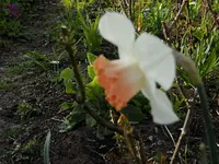 2010  Berlin 04 524.webp