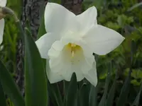 2010  Berlin 04 526.webp