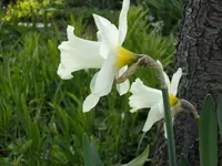 2010  Berlin 04 527.webp