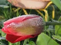 IMG_3799_1024x768.webp