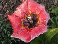 IMG_3803_1024x768.webp