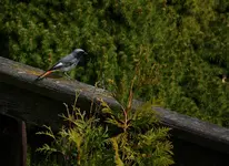comp_IMG_77781.webp