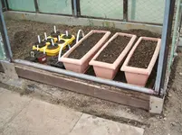 Garten 062.webp
