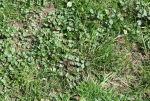 IMG_5478.gif