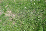 IMG_5479.gif
