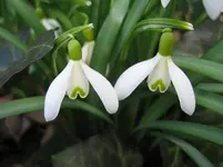 174_7499.webp