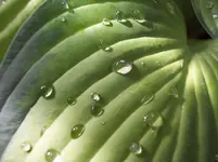 100_6238.webp