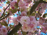 100_8757a.webp