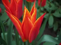 Kopie von 100_1496.webp