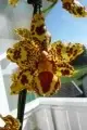 023.webp