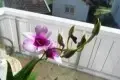 024.webp
