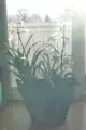 029.webp
