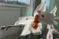 033.webp
