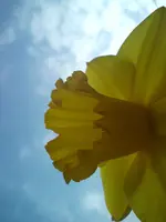DSC00947.webp