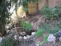 Teich 023.webp