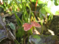 IMG_3898_1024x768.webp