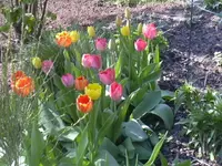 22.04.2010 003.webp