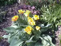 22.04.2010 006.webp