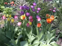 22.04.2010 010.webp