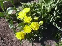 22.04.2010 014.webp