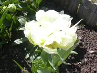 22.04.2010 015.webp