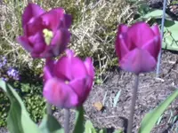 22.04.2010 043.webp