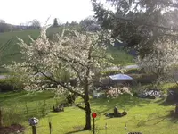 22.04.2010 053.webp