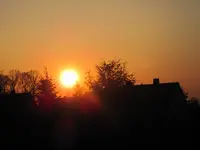 IMG_0874.webp