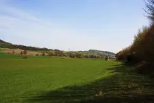 Blick in die Natur.webp
