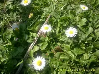 21843.webp
