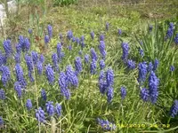 JD800008.webp
