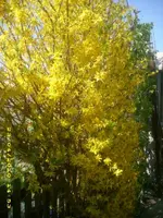 JD800009.webp
