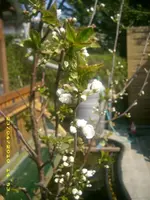 JD800010.webp