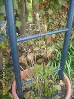 JD800022.webp