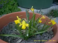 JD800024.webp