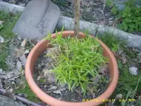 JD800025.webp