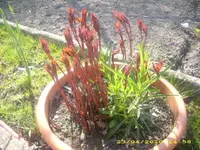 JD800026.webp