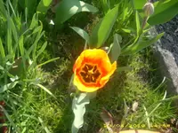 21849.webp