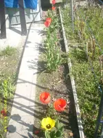 JD800004.webp