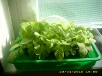 JD800039.webp