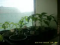 JD800042.webp