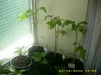 JD800043.webp