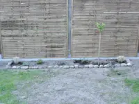 neues Beet.webp