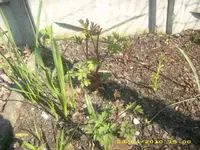 JD800031.webp