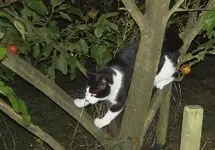April 2010 867v.webp
