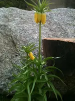 002.webp