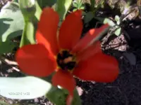 HPIM4189.webp