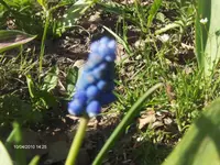 HPIM4193.webp