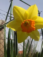 HPIM4200.webp
